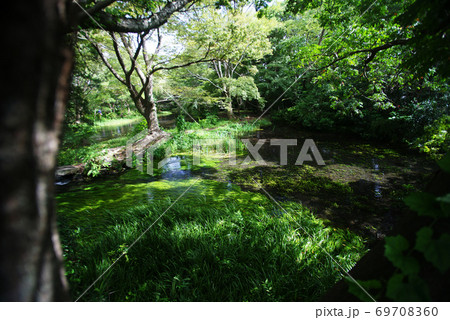 三島市立公園　楽寿園 69708360
