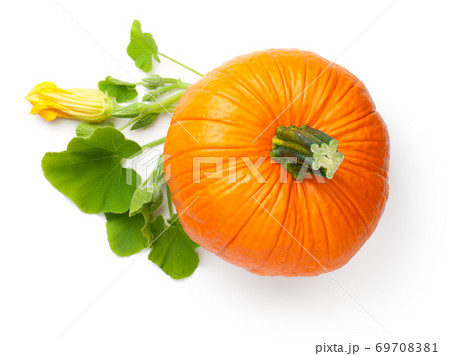 Fresh Orange Pumpkin Vegetable With Flower 69708381