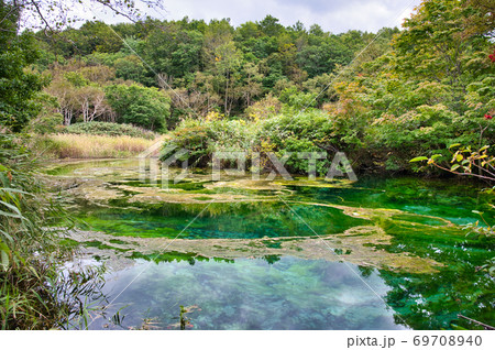 青森県八甲田山の田代平湿原の龍神沼 69708940