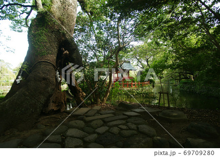 三嶋大社 厳島神社 69709280