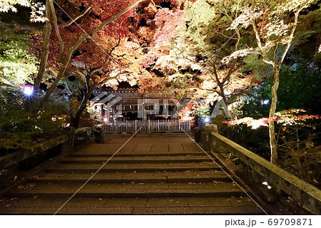 秋の亀岡の鍬山神社　ライトアップの拝殿 69709871