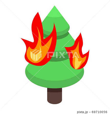 Burning fir tree icon, isometric style 69710056