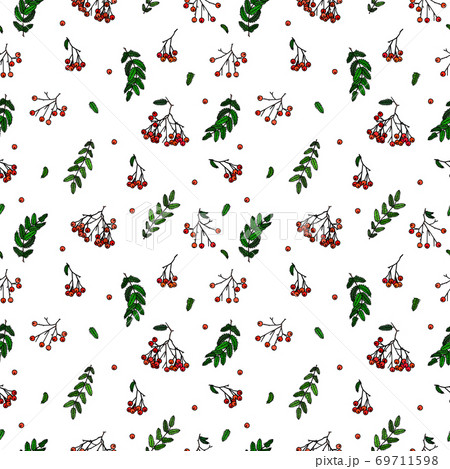 Autumn theme of a cluster of rowanberries with and without a leaf, twigs with leaves, the possibility of binding, tile picture, the never-ending theme 69711598
