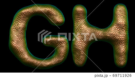 Letter set G, H made of realistic 3d render natural gold snake skin texture. 69711926