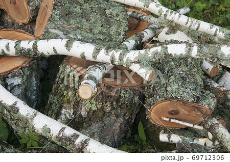 Stack of wood Stack of wood 69712306