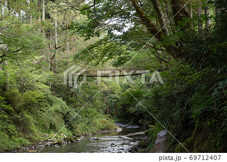 かずら橋　　福井県 69712407