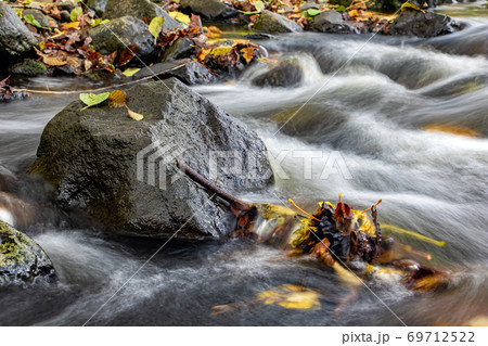 A water cascade in autumn creek with fallen leaves. Water flows around the stones in the river. A water cascade in autumn creek with fallen leaves. Water flows around the stones in the river. 69712522