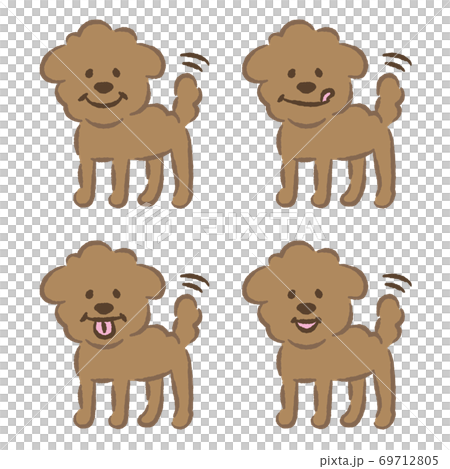 Toy poodle illustration Toy poodle illustration 69712805