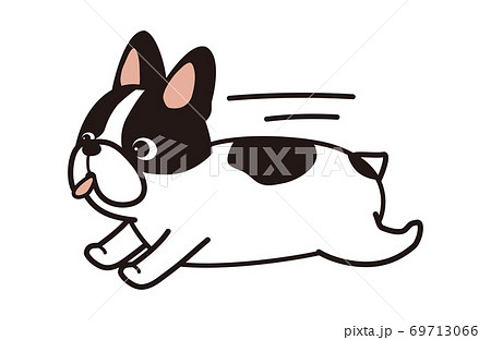 走る犬　フレンチブルドッグ 69713066