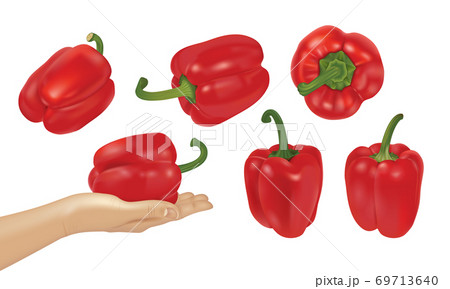 Whole Paprika or Red Sweet Pepper Isolated on White Whole Paprika or Red Sweet Pepper Isolated on White 69713640