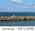 コバルトブルーの海と青空が水平線でわかれた風景 69713696