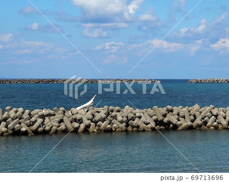 コバルトブルーの海と青空が水平線でわかれた風景 コバルトブルーの海と青空が水平線でわかれた風景 69713696