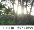 夕方の森林に差し込むキラキラした太陽の光 69713699