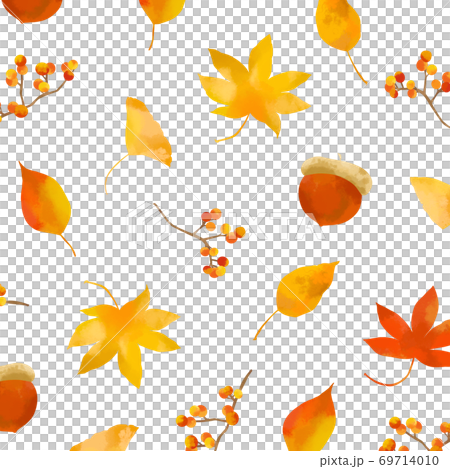 優しいタッチの秋の紅葉イラストのイラスト素材