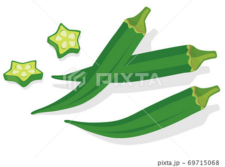 野菜 オクラのイラスト素材