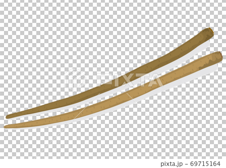 Vegetables_burdock Vegetables_burdock 69715164