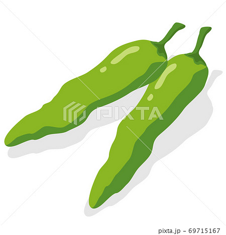 野菜イラスト ししとう 食材・料理・素材 69715167