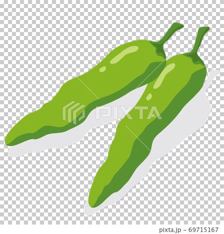 野菜イラスト ししとう 食材・料理・素材 69715167