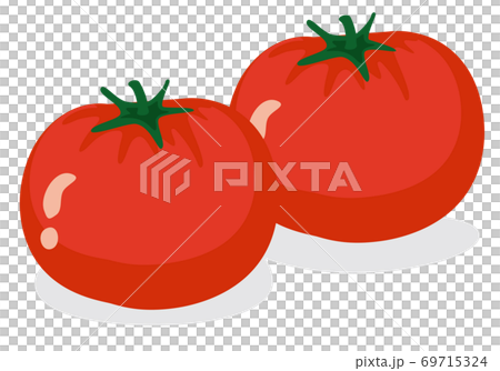 蔬菜插圖：番茄 食材、烹飪、材料 69715324