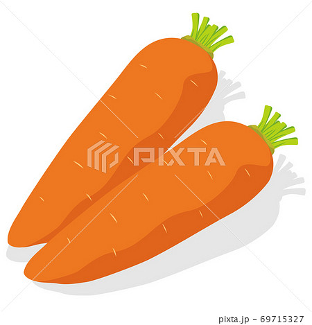 野菜_ にんじん 69715327
