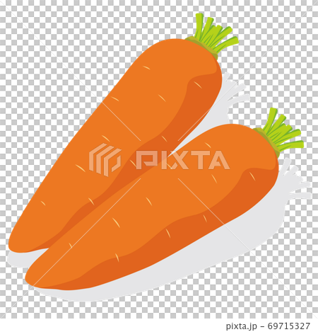 野菜_ にんじん 69715327