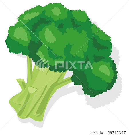 野菜イラスト ブロッコリー 食材・料理・素材 69715397