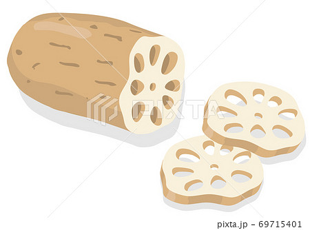 野菜イラスト れんこん 食材・料理・素材 野菜イラスト れんこん 食材・料理・素材 69715401