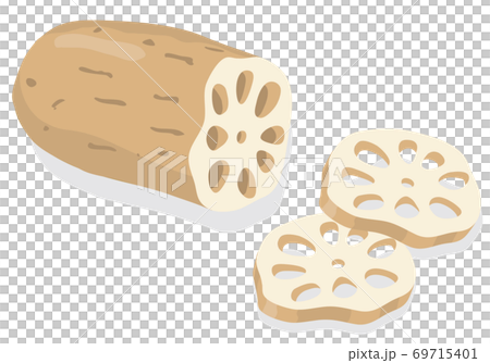 蓮藕蔬菜插圖,食材,烹飪,材料 蓮藕蔬菜插圖,食材,烹飪,材料 69715401