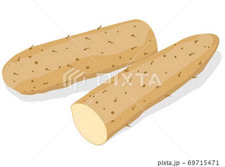 野菜_ 長芋／山芋 69715471