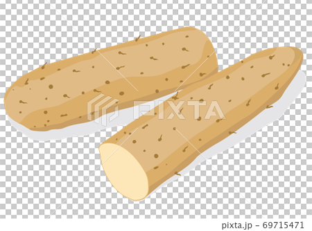 野菜_ 長芋／山芋 69715471