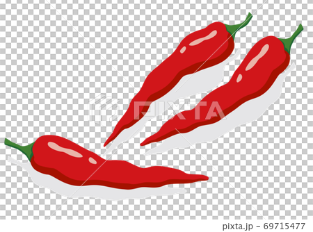 野菜 トウガラシのイラスト素材
