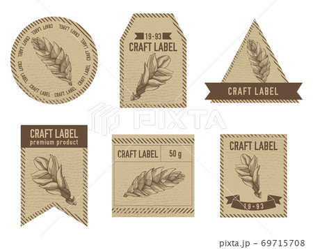 Craft labels vintage design with illustration of bromeliad Craft labels vintage design with illustration of bromeliad 69715708