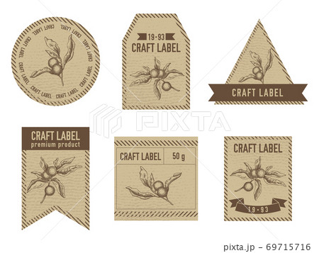 Craft labels vintage design with illustration of solanum Craft labels vintage design with illustration of solanum 69715716