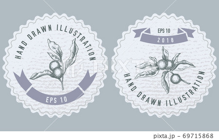 Monochrome labels design with illustration of solanum Monochrome labels design with illustration of solanum 69715868