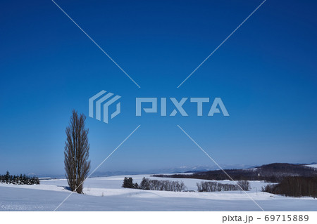 ケンとメリーの木 ケンとメリーの木 69715889