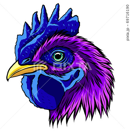 Rooster head, realistic vector illustration graphics art 69716190