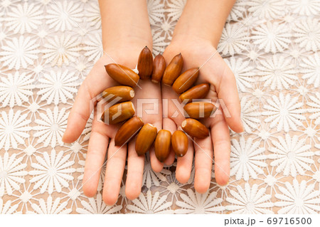 ドングリで作った手作りブレスレット ドングリで作った手作りブレスレット 69716500