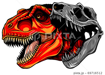 Tyrannosaurus Rex Skull Fossil Vector Stock Illustration