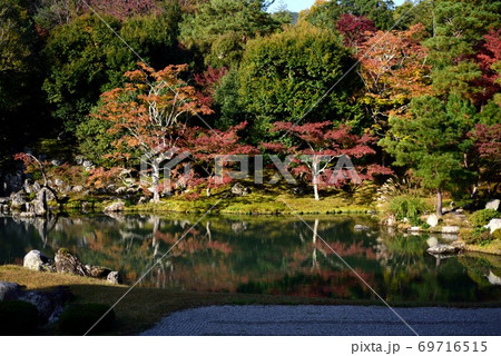 京都の秋の天龍寺　曹源池庭園 69716515