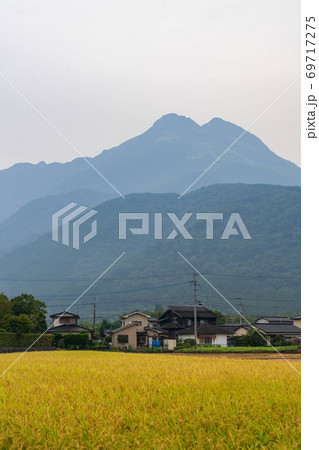 雨上がりの由布岳の風景【9月】 雨上がりの由布岳の風景【9月】 69717275