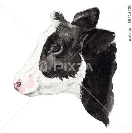 水彩で描いた牛の横顔のイラスト素材