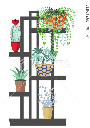 House plants illustration House plants illustration 69719659