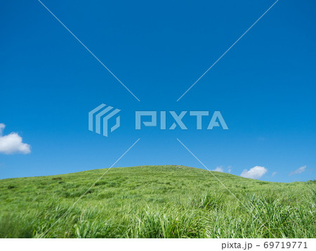 秋吉台 夏の草原の写真素材