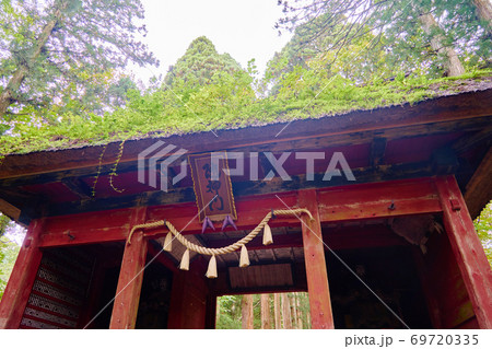 戸隠神社_奥社の杜_No3 69720335