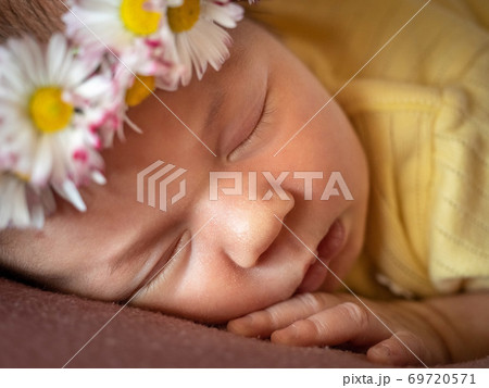 Portrait of 8 days old newborn baby girl sleeping Portrait of 8 days old newborn baby girl sleeping 69720571