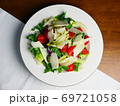 サラダ 野菜 69721058