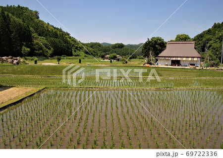 長谷の里山の水田 長谷の里山の水田 69722336