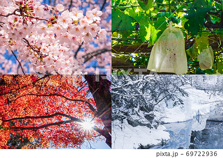 春夏秋冬のコラージュ背景画像の写真素材