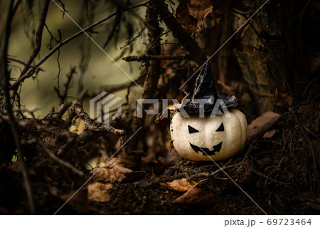 Halloween Pumpkin With Ugly Smile Wearing Black Witch Hat In  Spooky Forest 69723464