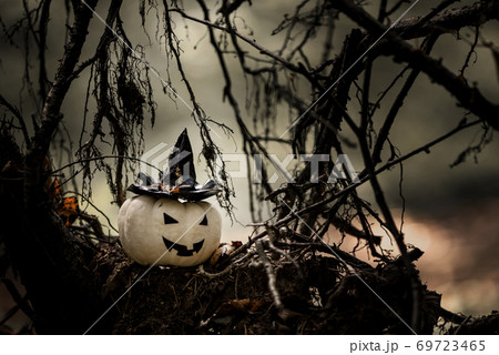 Halloween Pumpkin With Ugly Smile Wearing Black Witch Hat In  Spooky Forest 69723465